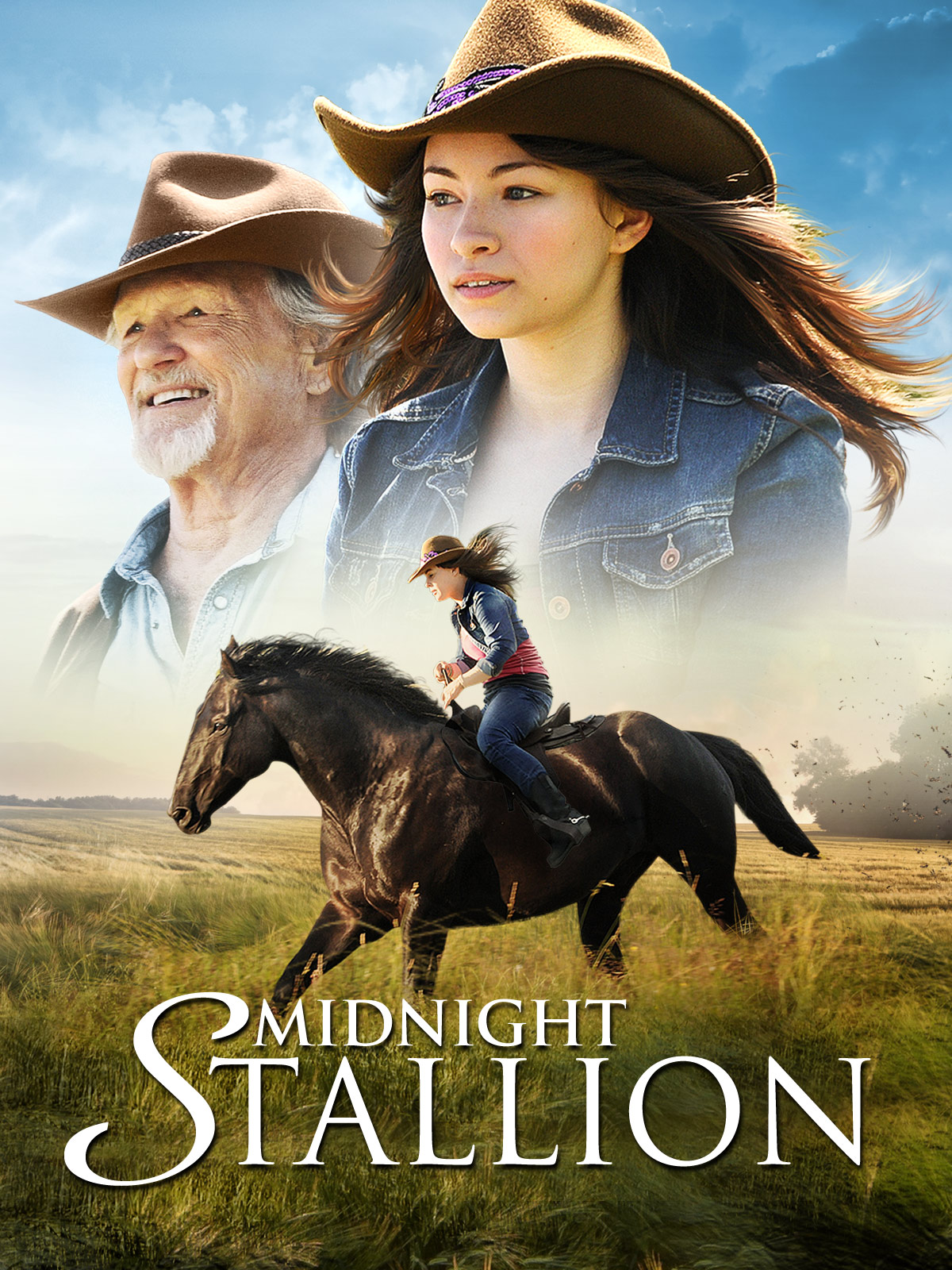 Midnight Stallion: Der König der Pferde kostenlos streamen | dailyme