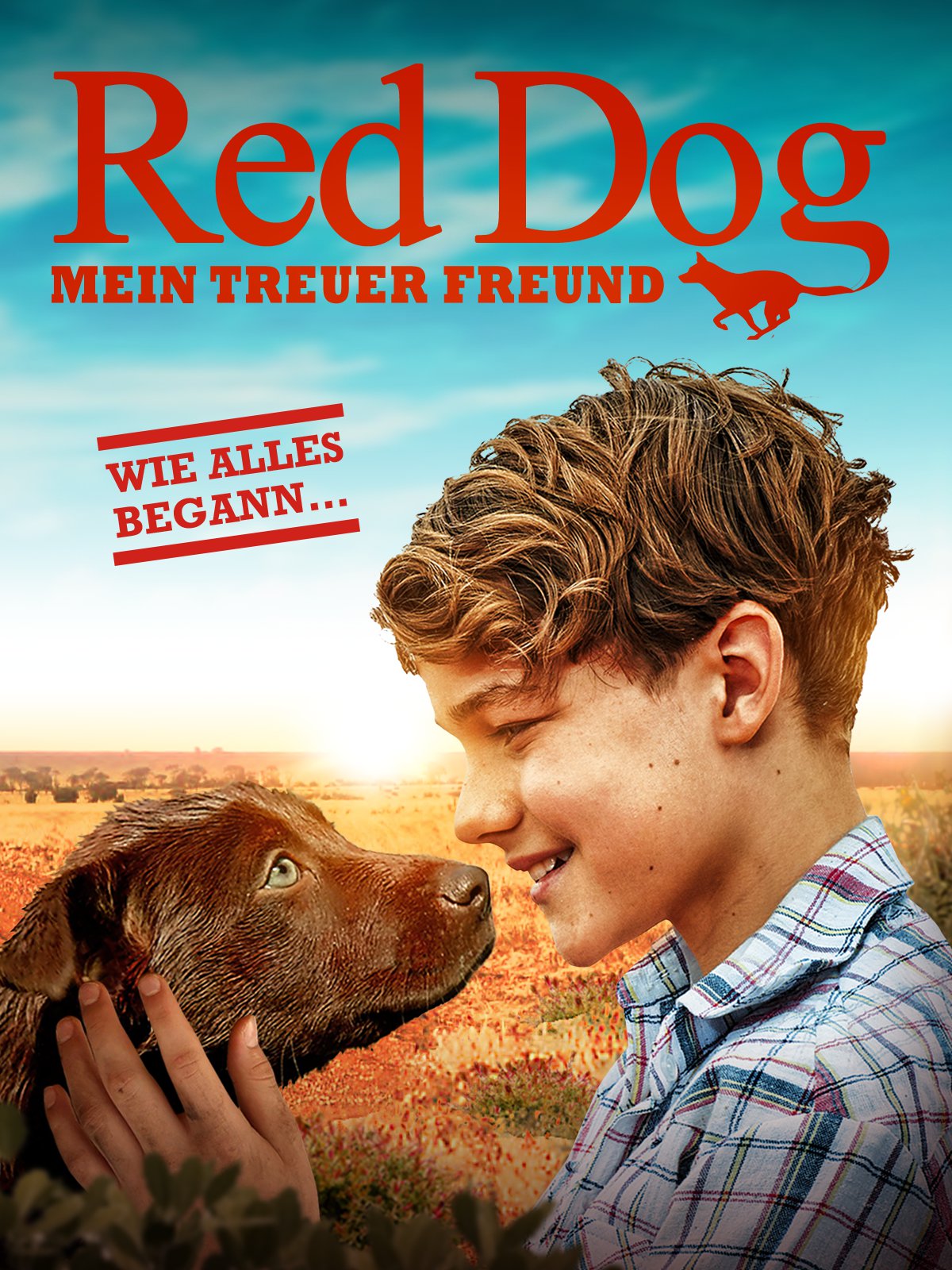 Red Dog - Mein treuer Freund kostenlos streamen | dailyme