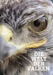 Die Welt der Falken kostenlos streamen | dailyme