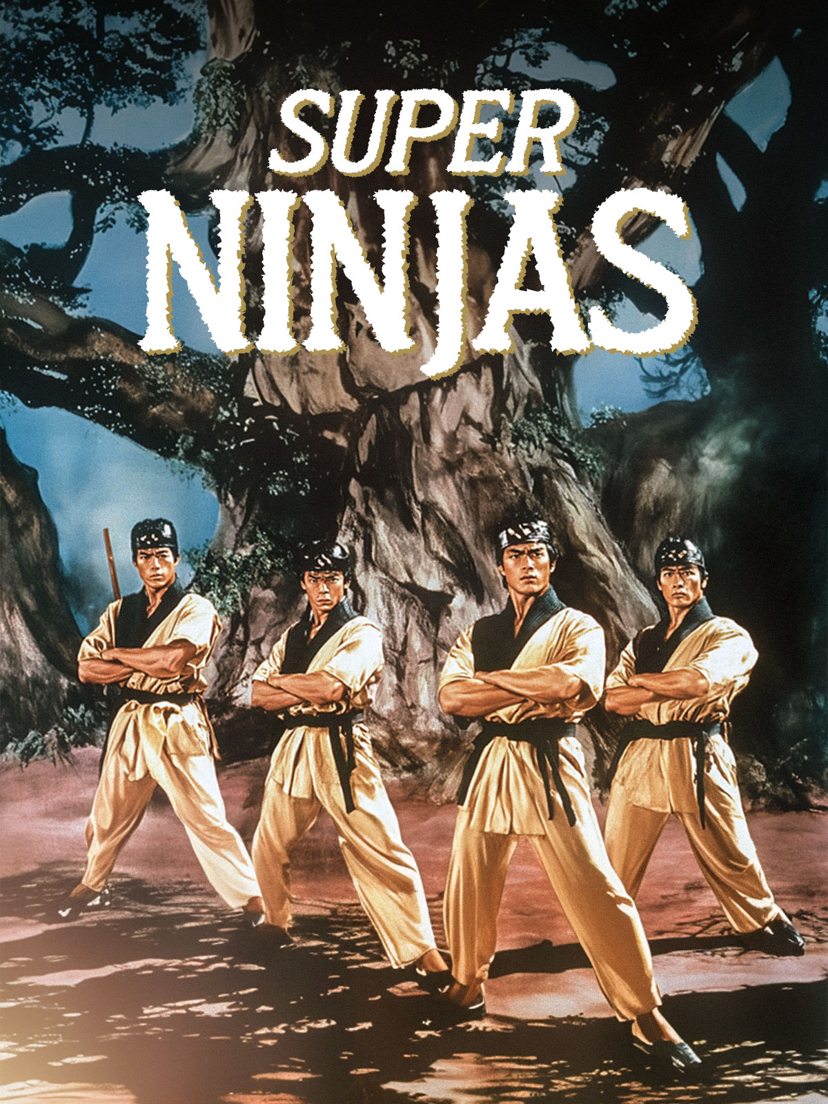 Super Ninjas