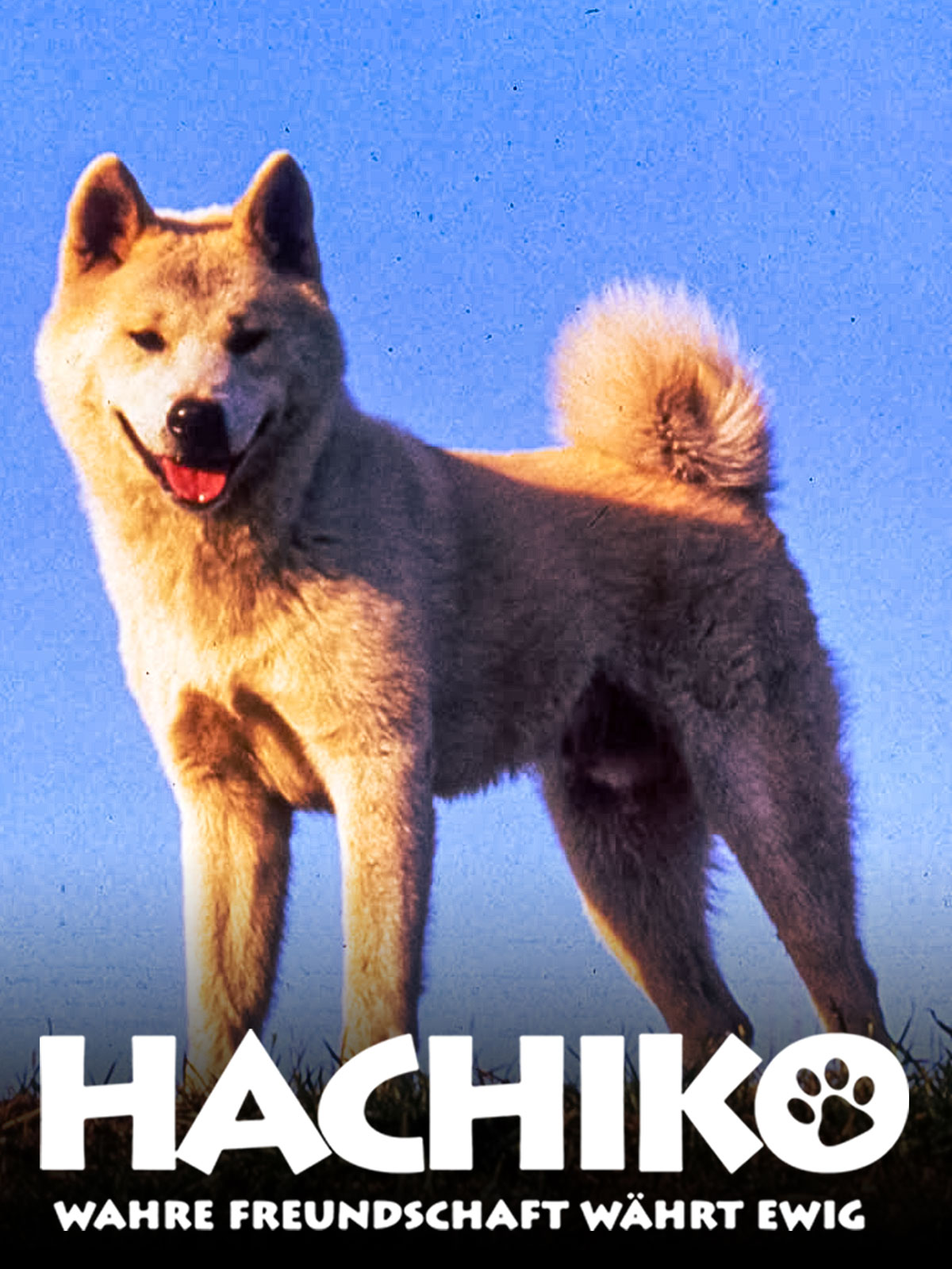 Hachiko – Wahre Freundschaft währt ewig kostenlos streamen | dailyme