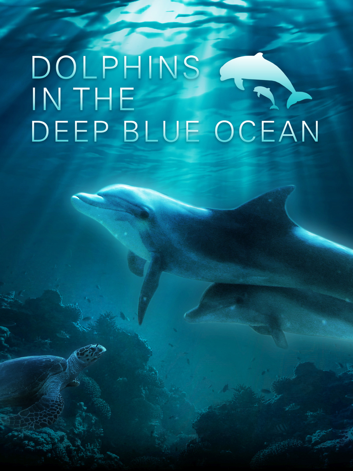 Dolphins in the Deep Blue Ocean kostenlos streamen | dailyme