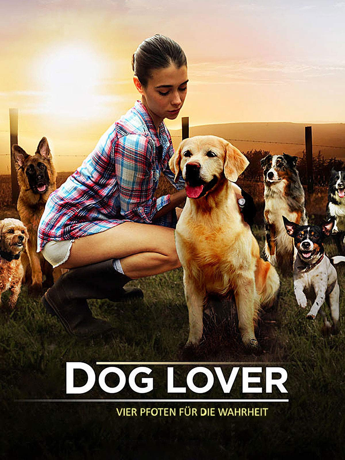 Dog Lover – Vier Pfoten für die Wahrheit kostenlos streamen | dailyme