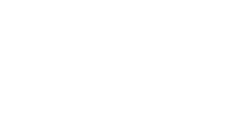 Larry Gaye